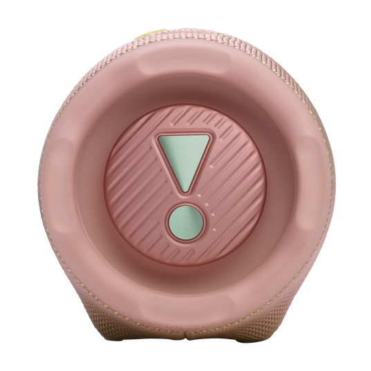 Портативная колонка JBL Charge 6 JBLCHARGE6PINK розовый купить,98160