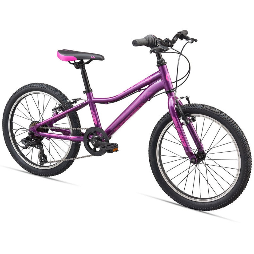 Велосипед Liv Enchant 20 Lite 2020 20 purple купить,NaN