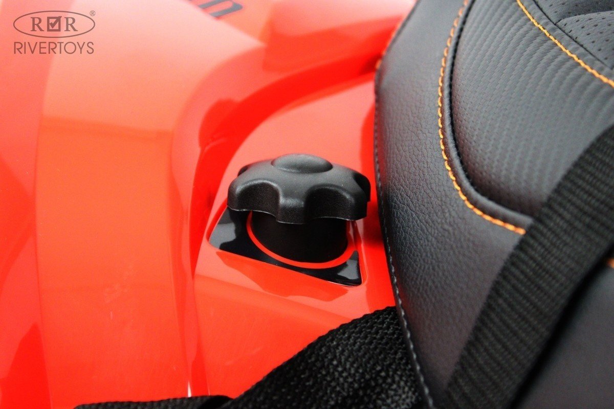 River Toys Can-Am Renegade Y333YY-RED красный купить,NaN