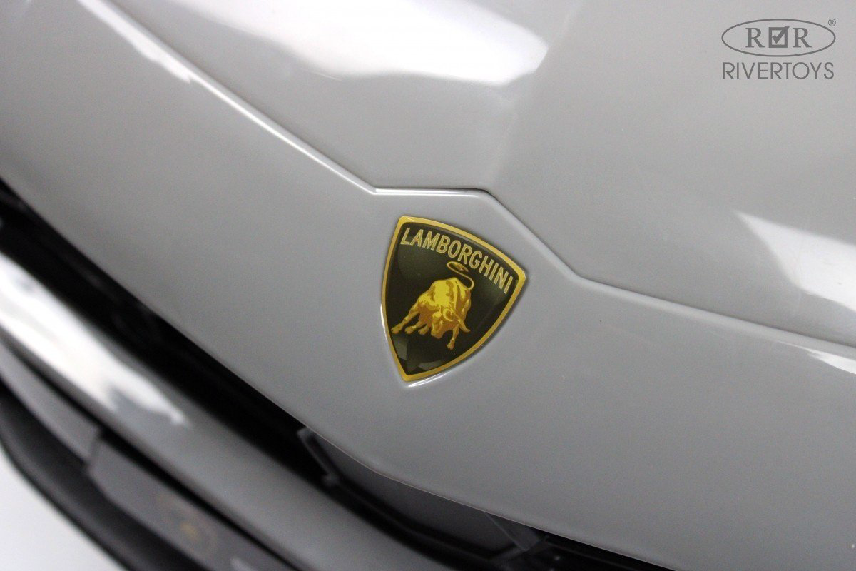 River Toys Lamborghini Urus E777EE серый купить,NaN
