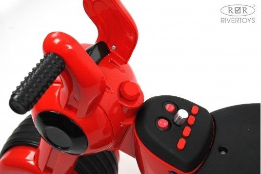 River Toys HL300 красный купить,NaN