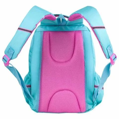 Рюкзак Юнландия Corgi 270679 17л бирюзово-розовый купить,NaN