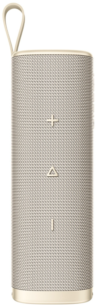 Портативная колонка Xiaomi Sound Outdoor 30W MDZ-38-DB Golden