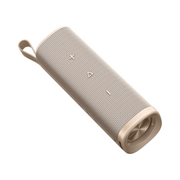 Портативная колонка Xiaomi Sound Outdoor 30W MDZ-38-DB Golden
