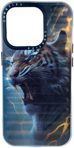 Чехол CASETiFY для Apple iPhone 13 Pro рисунок купить,2281