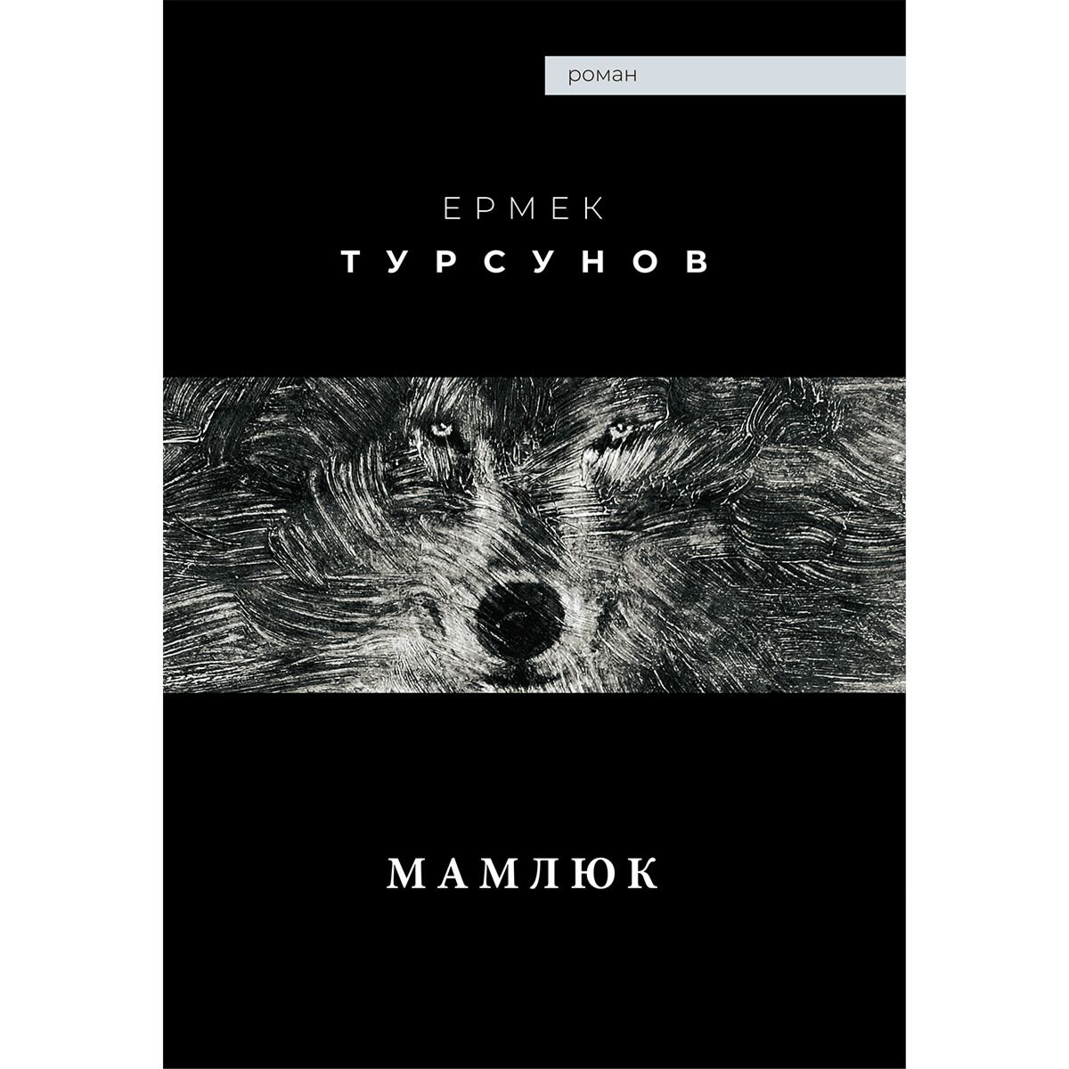 Исторический роман Турсунов Е. Мамлюк купить,NaN