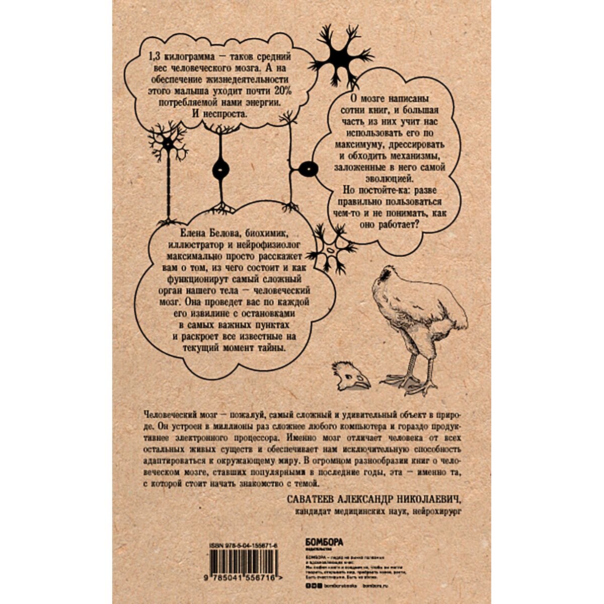 Здоровье Белова Е. М. Автостопом по мозгу Когда вся вселенная у тебя в голове купить,NaN