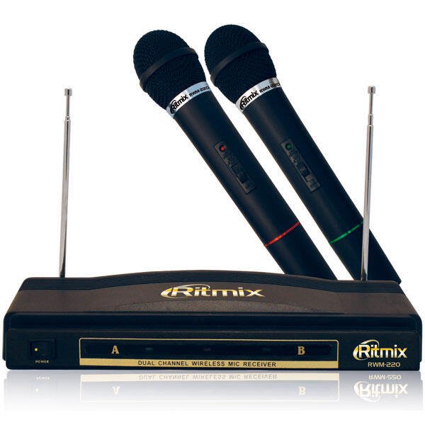 Микрофон Ritmix RWM-220 черный