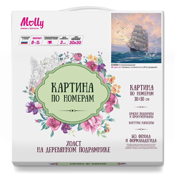 Картина по номерам Molly   Сопровождение 30х30 20 цветов купить,NaN