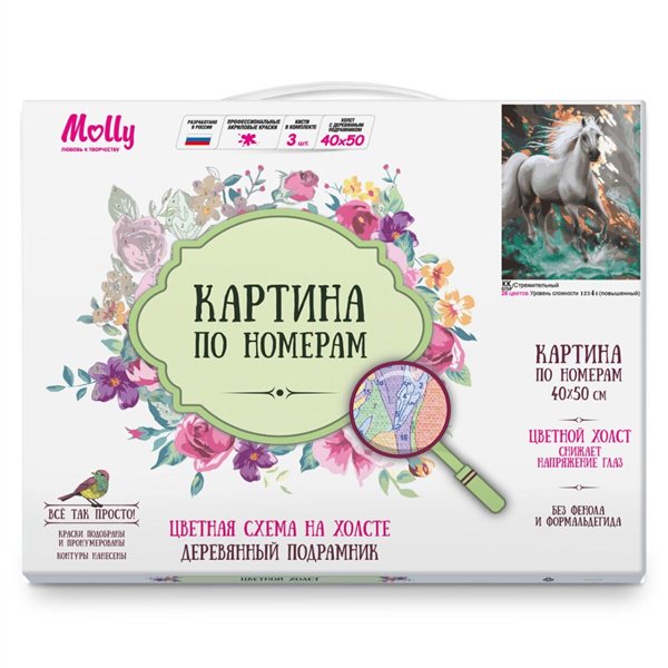 Картина по номерам  Molly    Стремительный  40х50 28 цветов купить,NaN