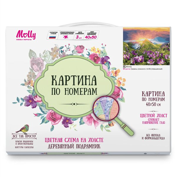 Картина по номерам  Molly    Восход 40х50 28 цветов купить,NaN