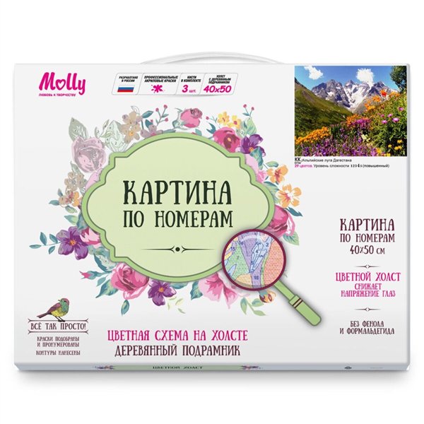 Картина по номерам Molly    Альпийские луга Дагестана 40х50 29 цветов купить,NaN