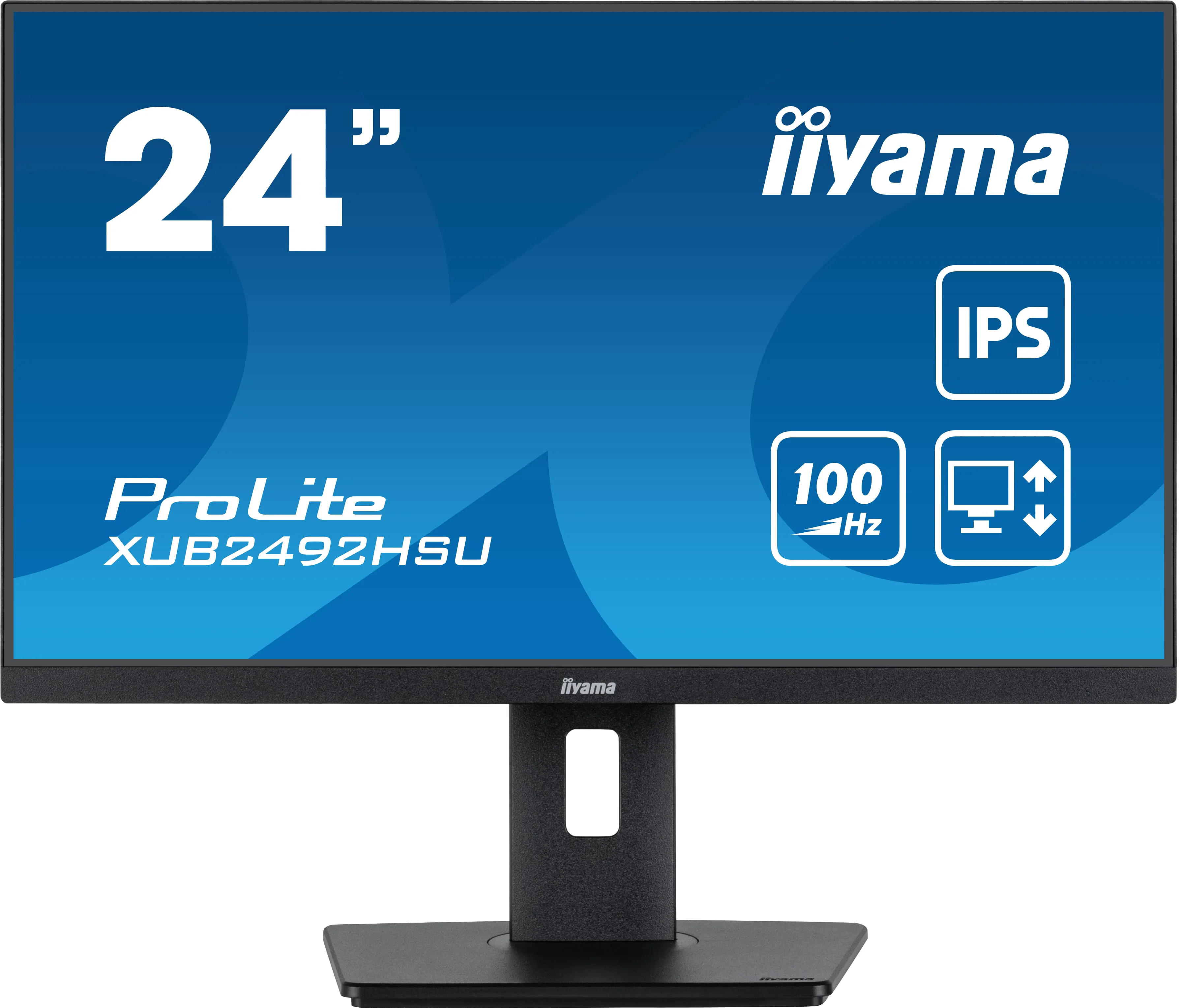 Монитор Iiyama ProLite PL2492H XUB2492HSU-B6 24'' Black