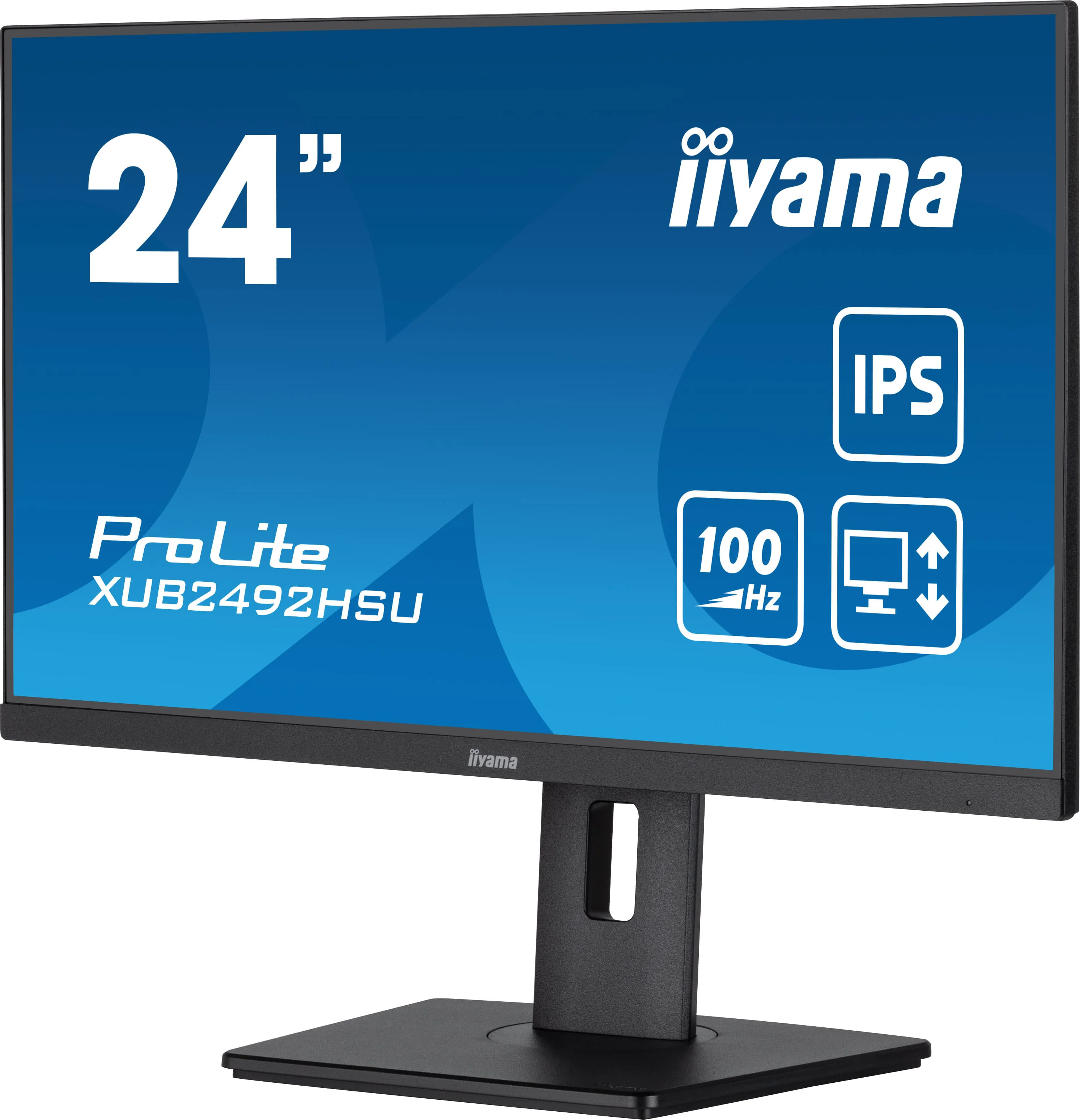 Монитор Iiyama ProLite PL2492H XUB2492HSU-B6 24'' Black купить,0