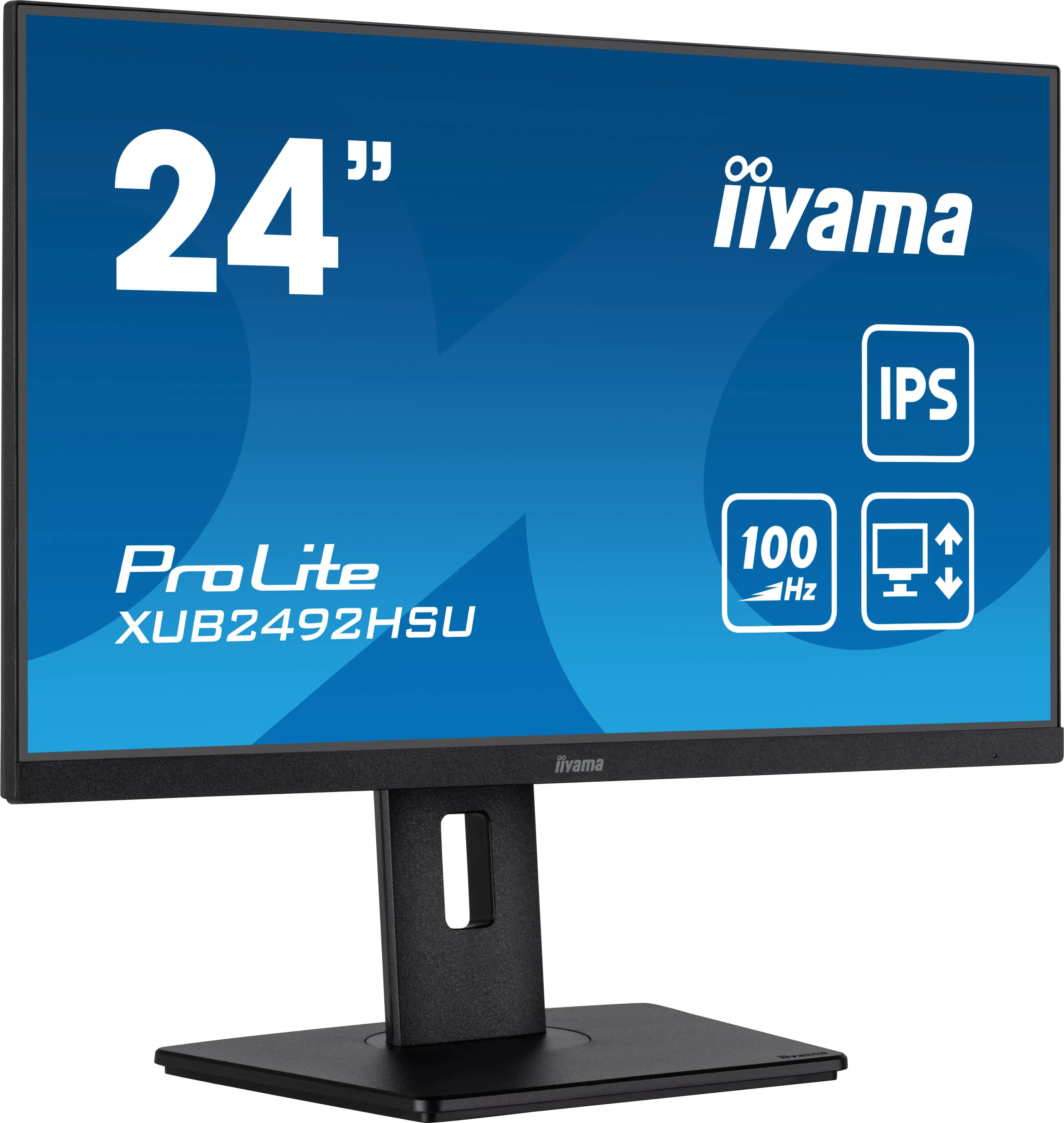 Монитор Iiyama ProLite PL2492H XUB2492HSU-B6 24'' Black купить,0