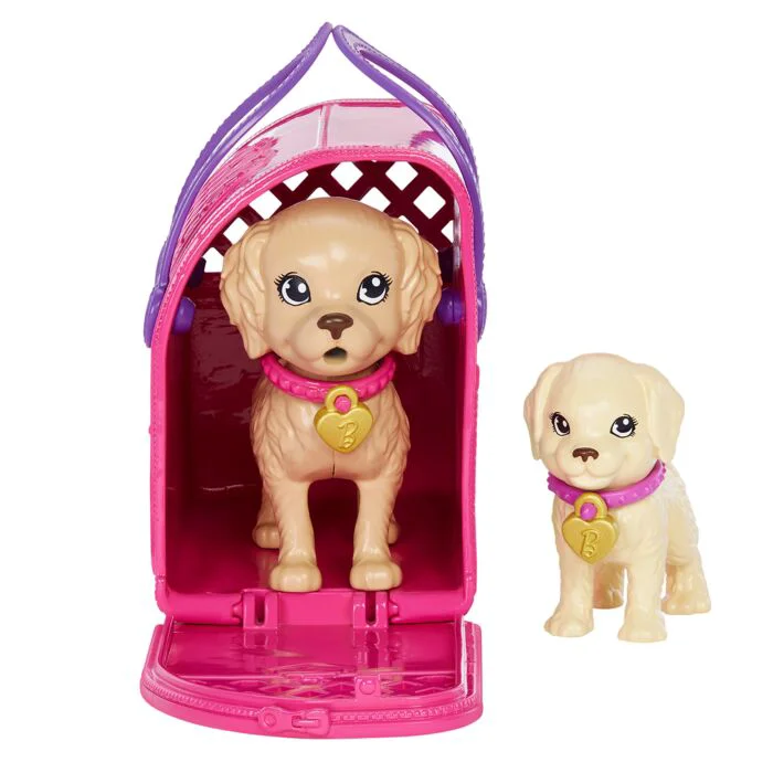 Игровой набор Barbie Family Собачий приют HKD860 купить,NaN