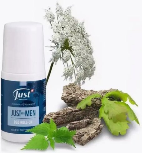 Just Masterwort дезодорант для мужчин 50 мл