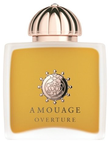 Amouage Overture парфюмерная вода EDP 100 мл, для женщин купить,374720