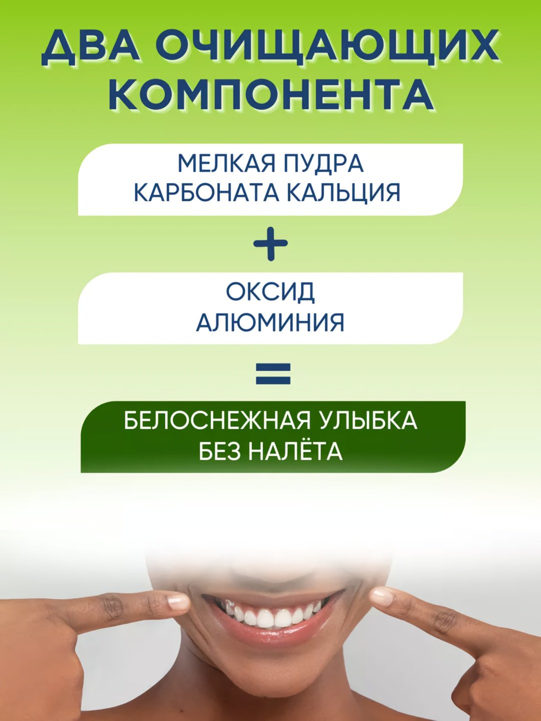 LION зубная паста Dental Max 140 г
