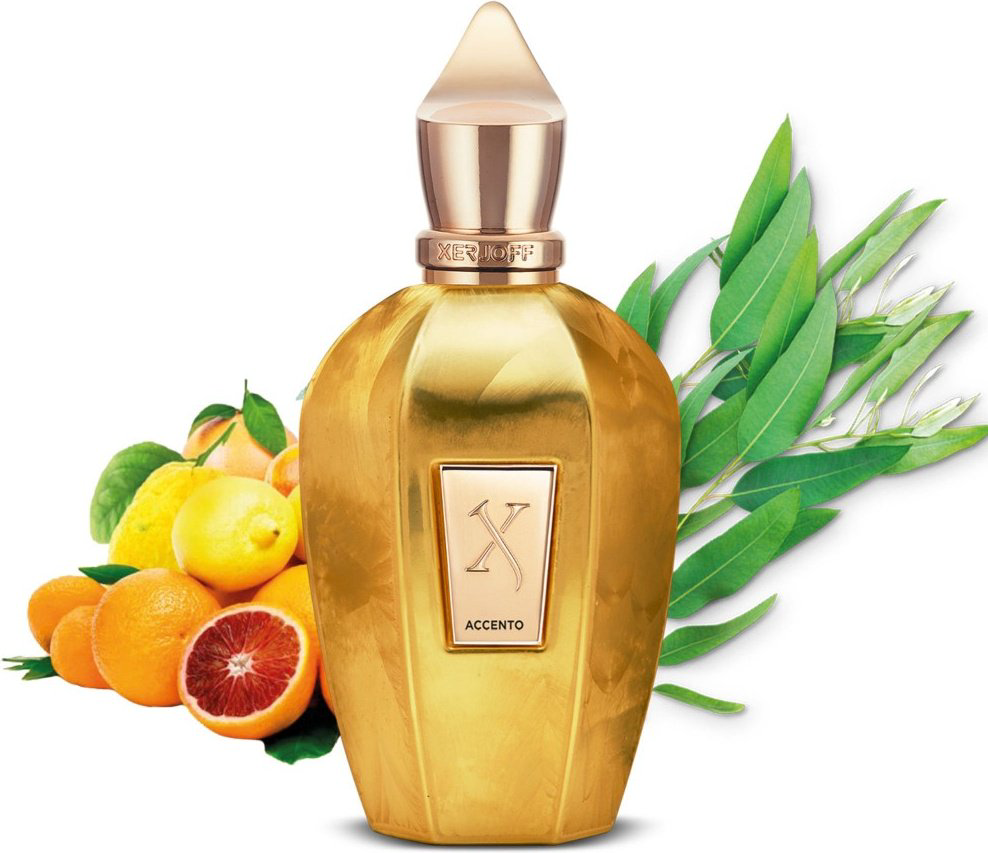 Xerjoff Accento Overdose парфюмерная вода EDP 100 мл, унисекс купить,242840
