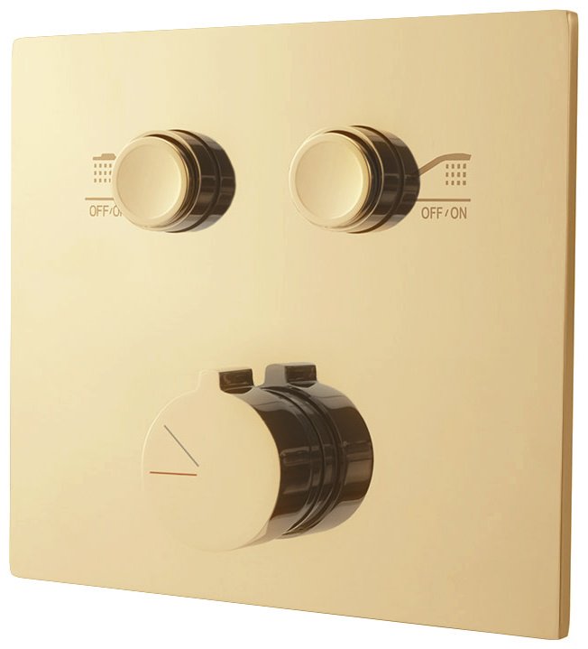 Душевой набор (гарнитур) VSFW-4211RBG