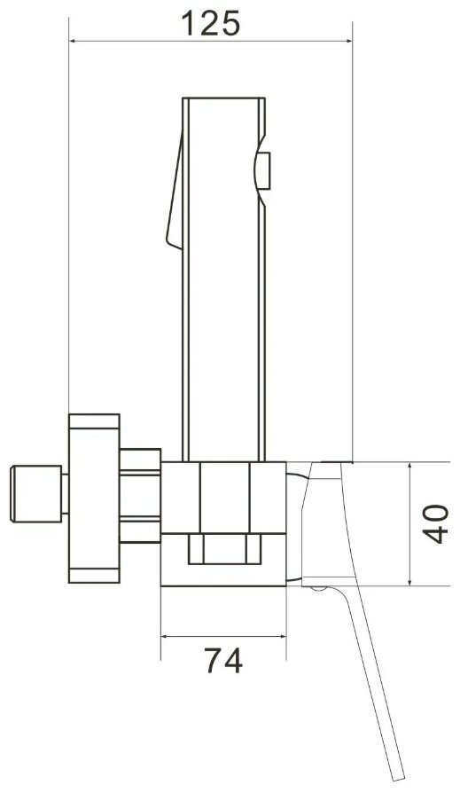 Shevanik лейка для гигиенического душа S4105T-1, латунь купить,NaN
