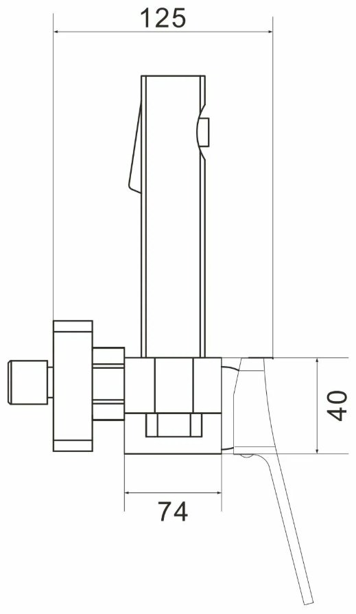 Shevanik лейка для гигиенического душа S4105T-1, латунь купить,NaN