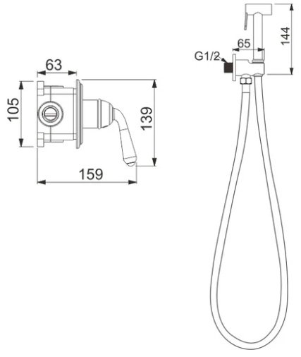 Rose гигиенический душ R0205H, латунь купить,NaN