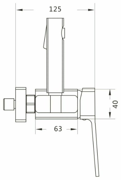 Rose гигиенический душ R1505H-1 купить,NaN