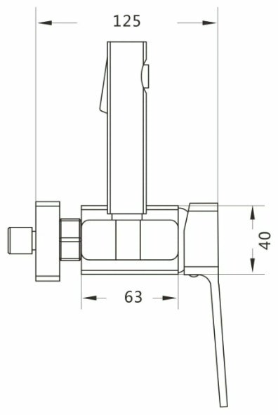 Rose гигиенический душ R1505H-1 купить,NaN