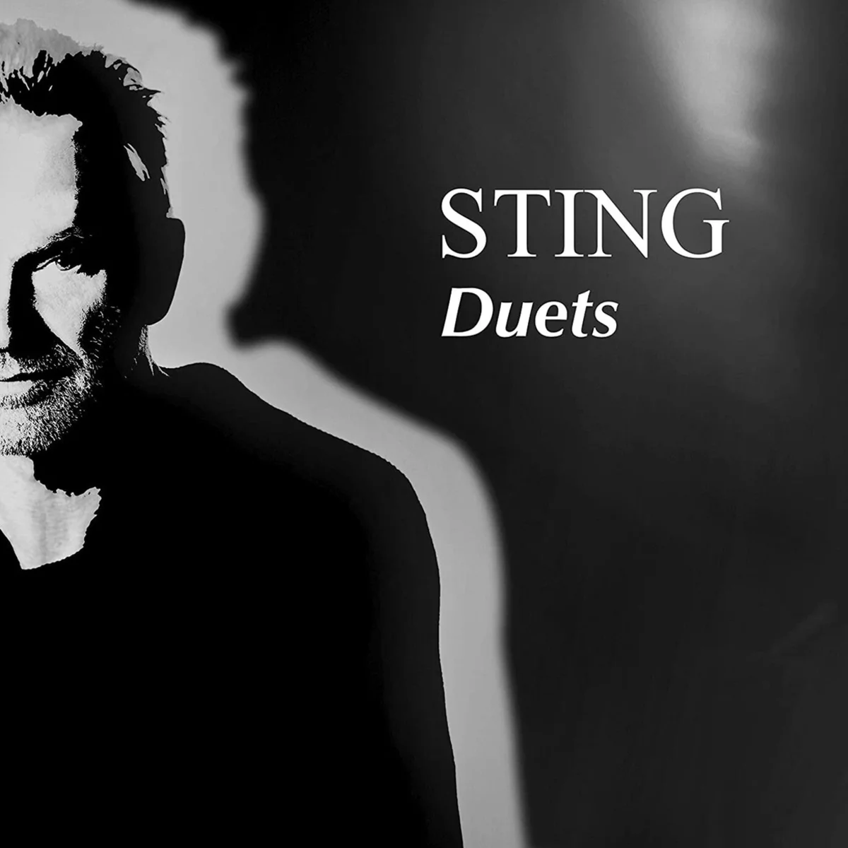 Пластинка Sting Duets  2LP купить,NaN
