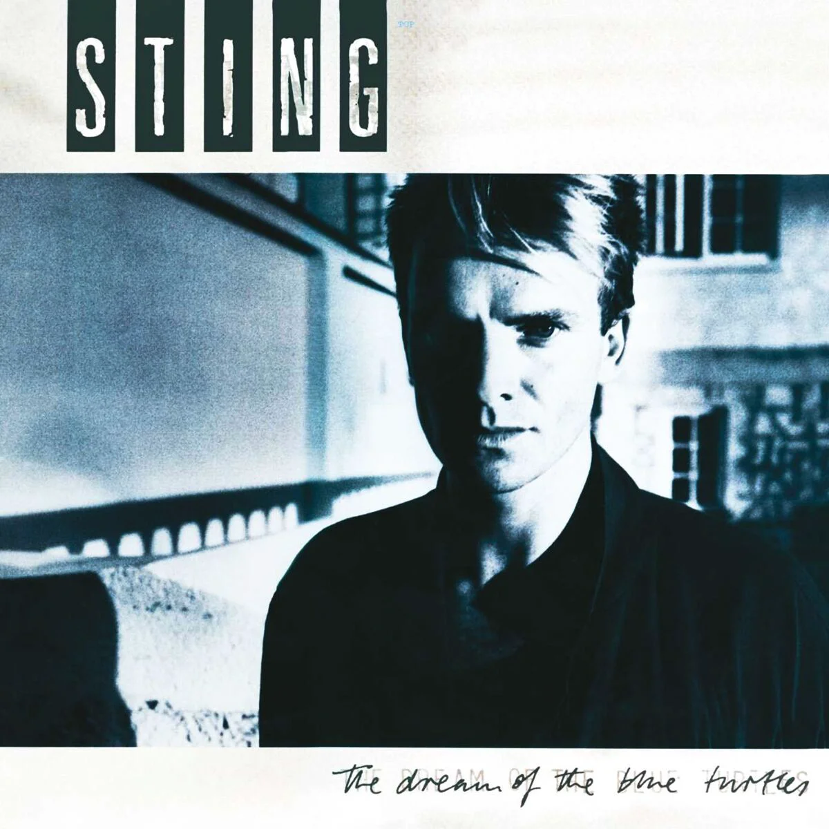 Пластинка Sting The Dream Of The Blue Turtles LP купить,NaN