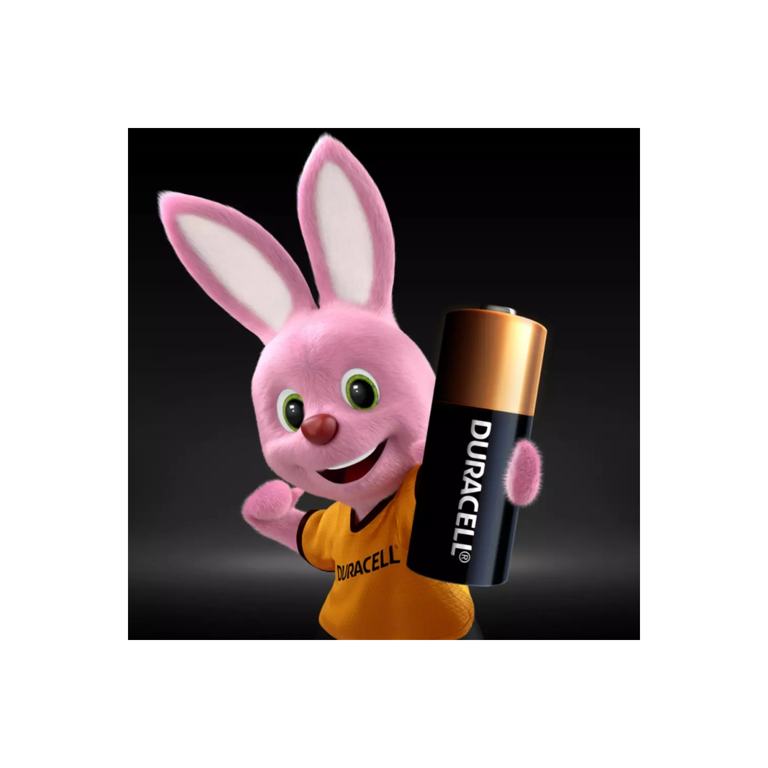 Батарейка Duracell MN21 12V 1шт купить,NaN