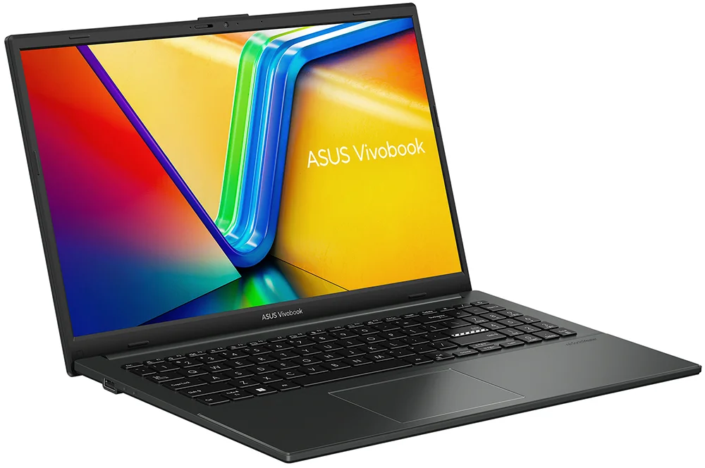 Ноутбук ASUS Vivobook Go 15 E1504GA-BQ530 90NB0ZT2-M00VM0 15.6" Black