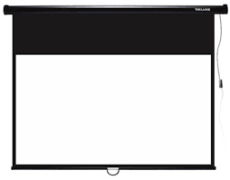 Экран моторизированный Deluxe DLS-E274x210 108"х83" белый купить,NaN