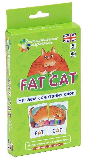  Английский для детей Клементьева Т. Б. Толстый кот Fat Cat купить,NaN
