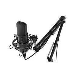 Микрофон Ritmix RDM-290 USB Eloquence черный купить,NaN