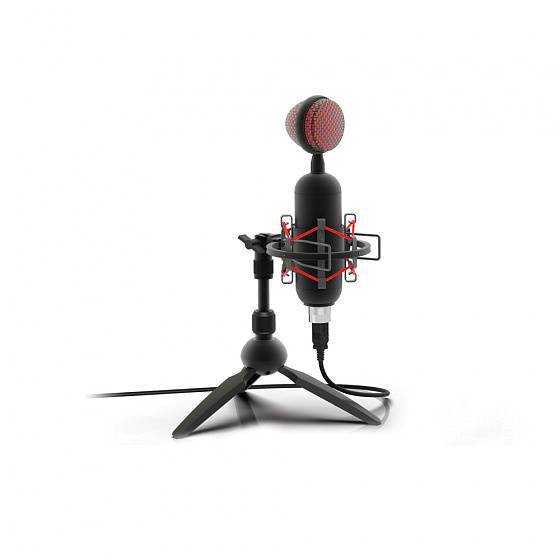 Микрофон Ritmix RDM-230 USB Eloquence черный