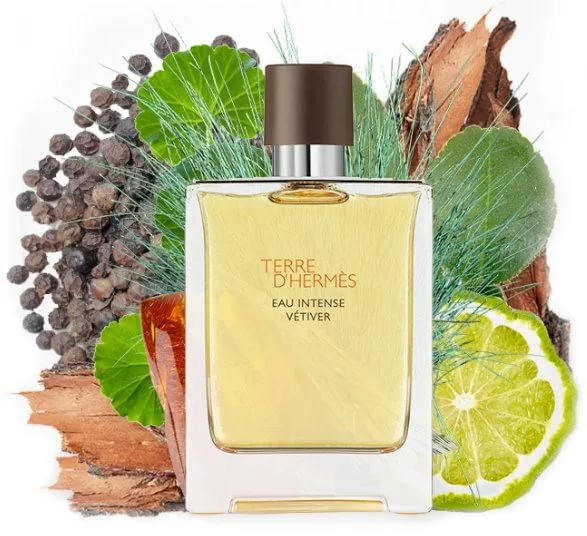 Парфюмерная вода Hermes Terre D'Hermes Eau Intense Vetiver 100ml Т купить,NaN