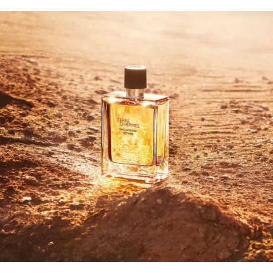 Парфюмерная вода Hermes Terre D'Hermes Eau Intense Vetiver 100ml Т купить,NaN