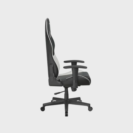 Кресло DX Racer Prince GC/LPF24LTC/NW White Black