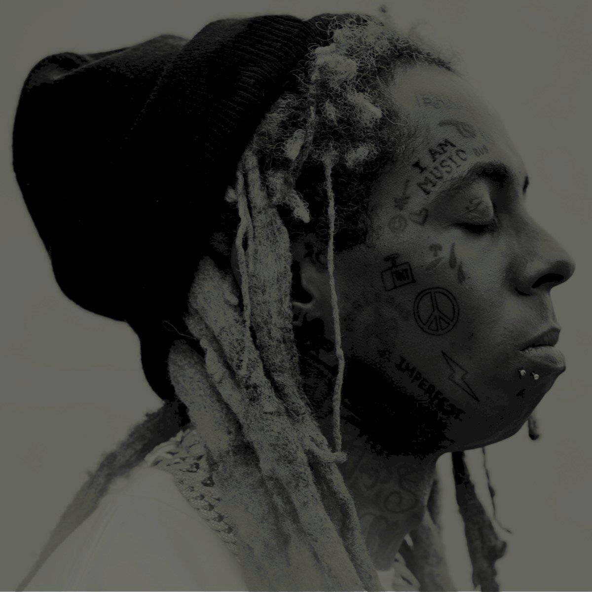 Lil Wayne I Am Music 2LP купить,NaN