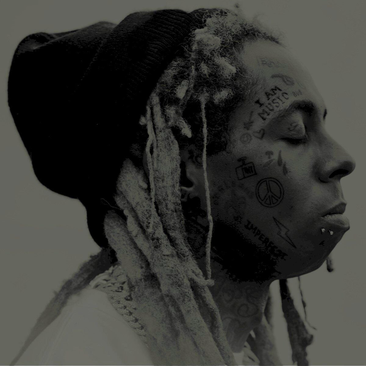 Lil Wayne I Am Music 2LP купить,NaN
