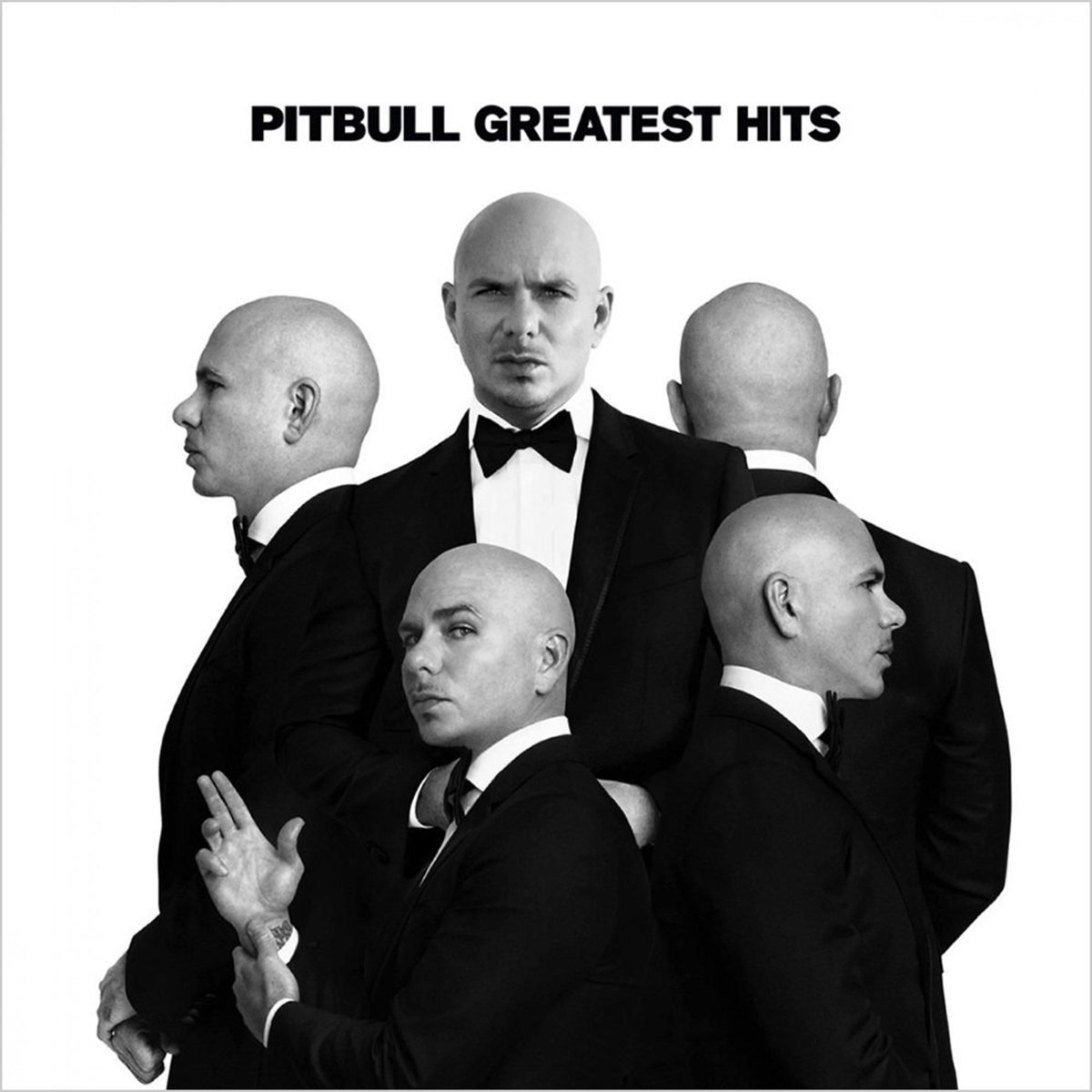 Pitbull Greatest Hits LP купить,NaN