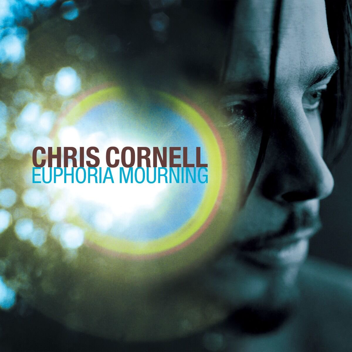 Cornell Chris Euphoria Morning LP купить,NaN