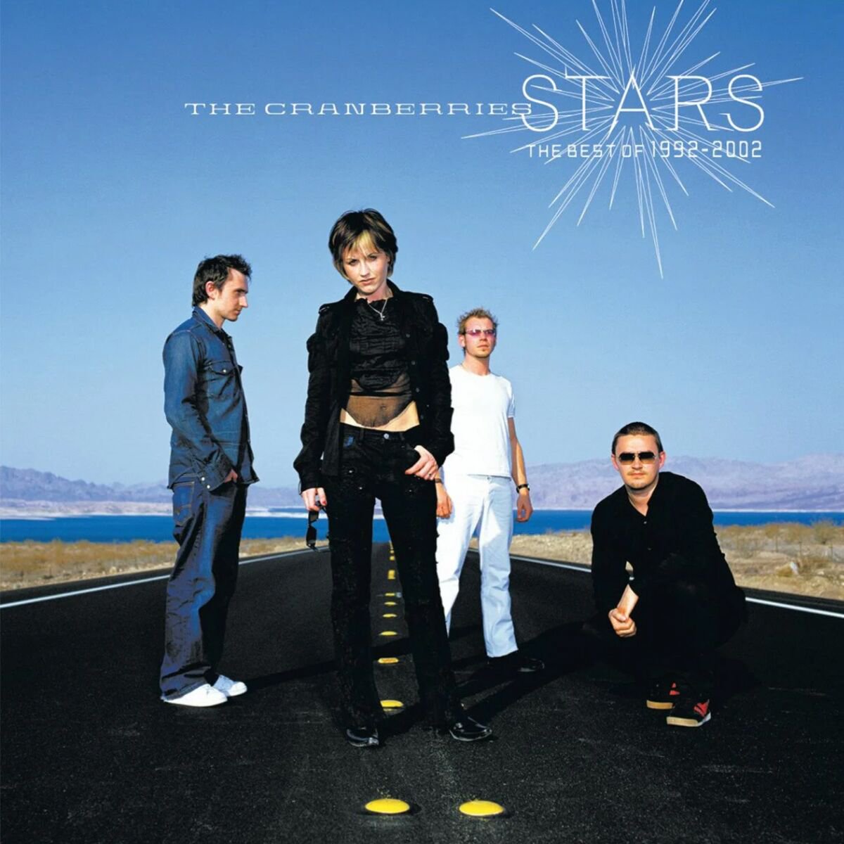 Cranberries Stars: Best Of.. 2LP купить,NaN
