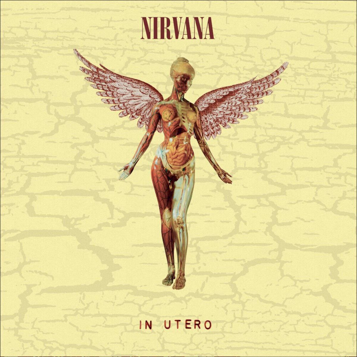 Nirvana In Utero (30Th Anniversary) 2LP купить,NaN