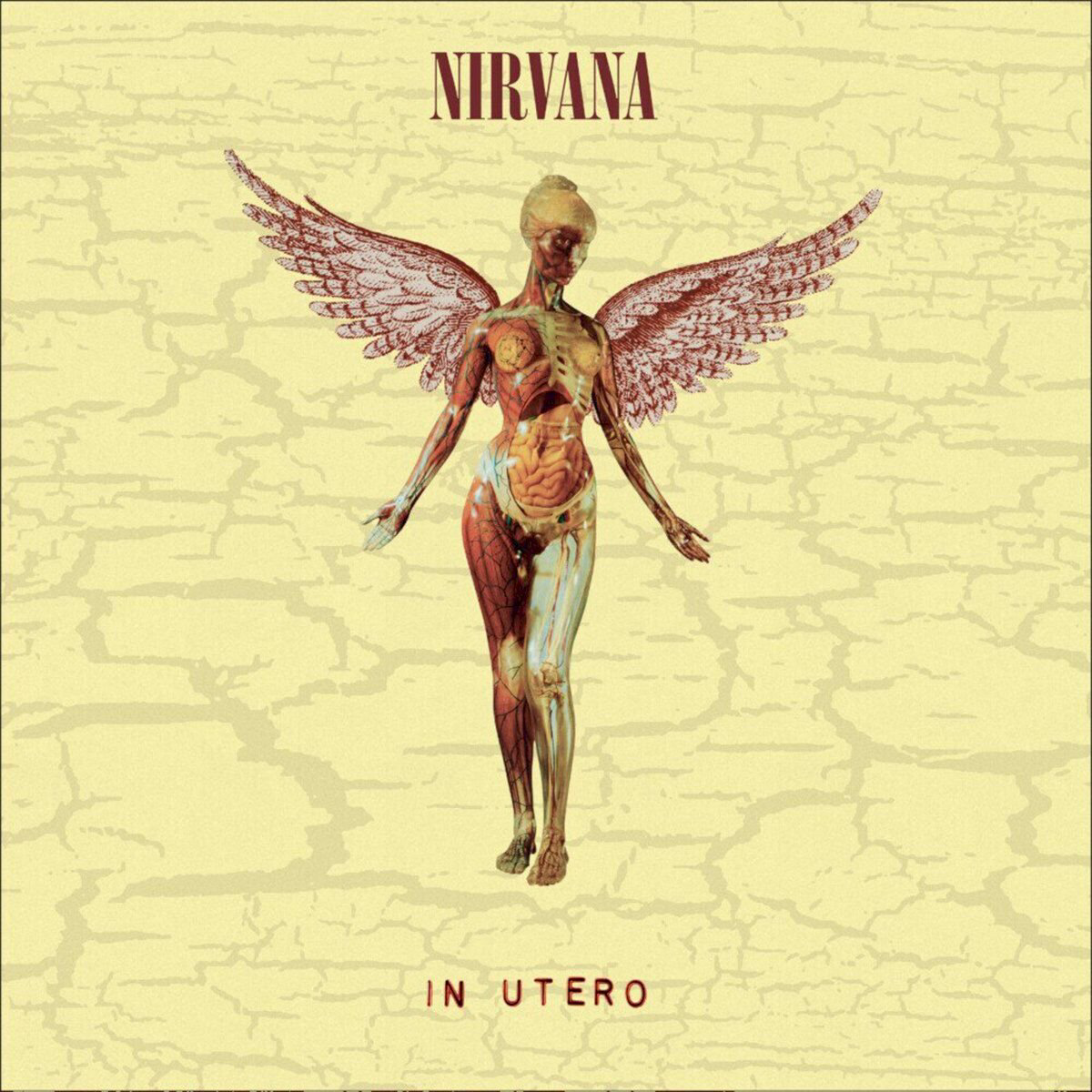 Nirvana In Utero (30Th Anniversary) 2LP купить,NaN