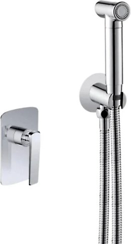 Rose гигиенический душ R1305, латунь купить,NaN