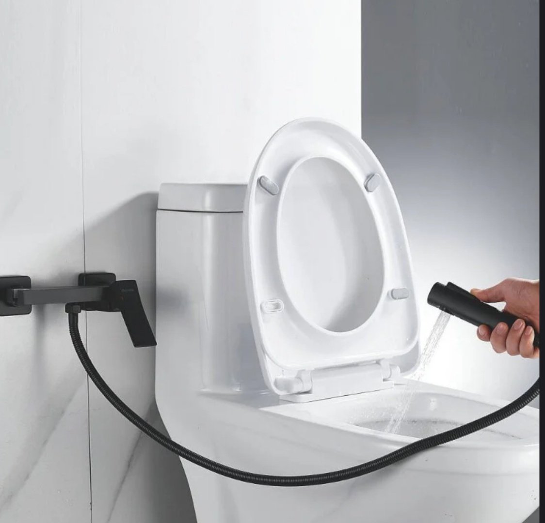 Shevanik гигиенический душ S4005H-1, латунь купить,NaN